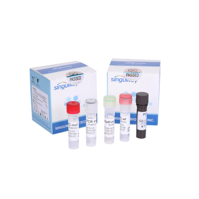 Bộ kiểm tra PCR RT PCR siêu nhạy có độ nhạy cao Bộ dụng cụ phát hiện PCR đầu dò huỳnh quang