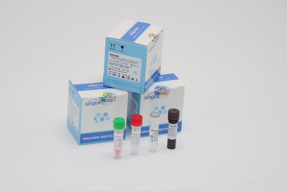 Phòng thí nghiệm Sử dụng Bộ dụng cụ xét nghiệm RT PCR Covid Bộ dụng cụ lấy mẫu bông gạc kép PCR Media LP lâm sàng
