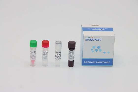 Bộ kiểm tra PCR virus CMV RT PCR Thời gian thực Kiểm tra axit nucleic ISO13485