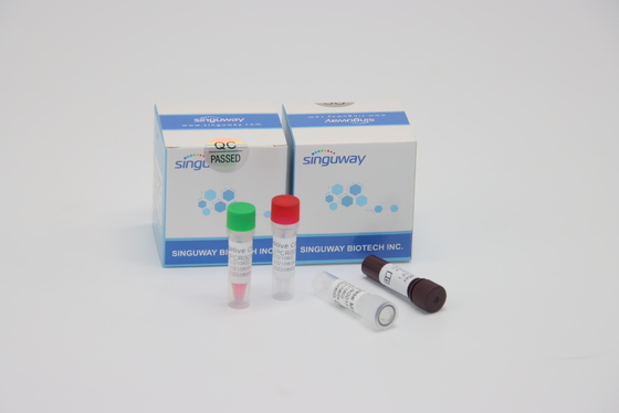 Bộ xét nghiệm nhanh RT PCR huỳnh quang định lượng để kiểm tra vi rút HFMD
