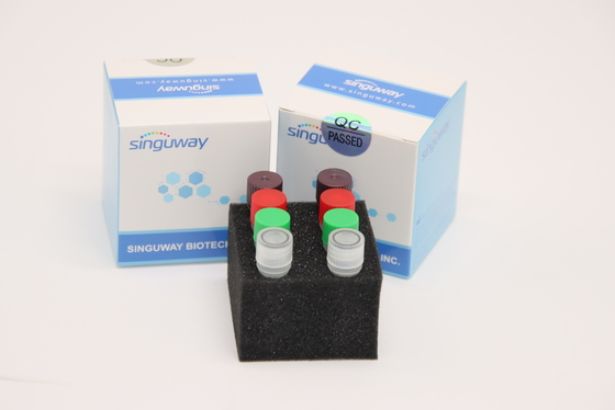 Bộ xét nghiệm huỳnh quang thời gian thực HCV RT Bộ xét nghiệm HSV2 Bộ xét nghiệm Sử dụng trong phòng thí nghiệm CE