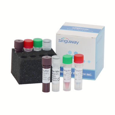 Bộ phát hiện axit nucleic thời gian thực Bộ PCR cúm 48 96 xét nghiệm / hộp