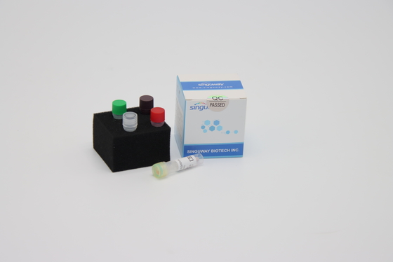 HIFi Polymerase DNA Reverse Transcription PCR Kit Thuốc thử RT PCR Singuway
