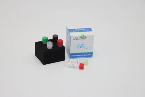 Bộ công cụ phát hiện vi rút DNA PCR siêu nhanh Cần thiết cho phản ứng PCR