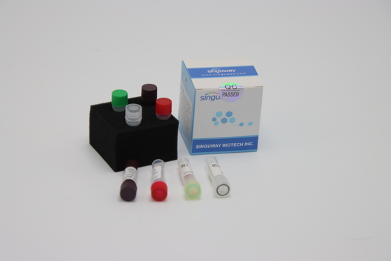 Bộ xét nghiệm RT PCR virus cúm gia cầm 48 96 xét nghiệm Bộ xét nghiệm ngoáy mũi