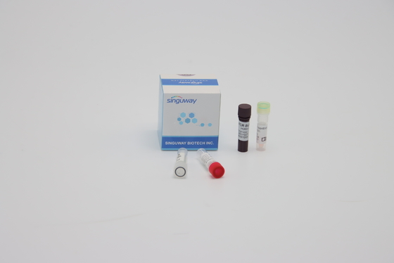 Oral Swab Mẫu định lượng Thuốc thử phản ứng PCR đa phương tiện ISO13485