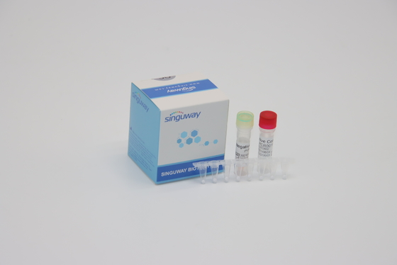 Chẩn đoán lâm sàng Thuốc thử PCR thời gian thực IVD Bộ xét nghiệm phản quang huỳnh quang Bộ một bước PCR