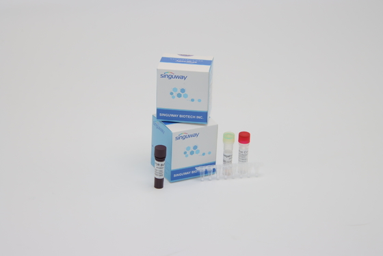 Bộ PCR thời gian thực siêu nhạy cảm đa công dụng Thuốc thử phát hiện axit nucleic Coronavirus