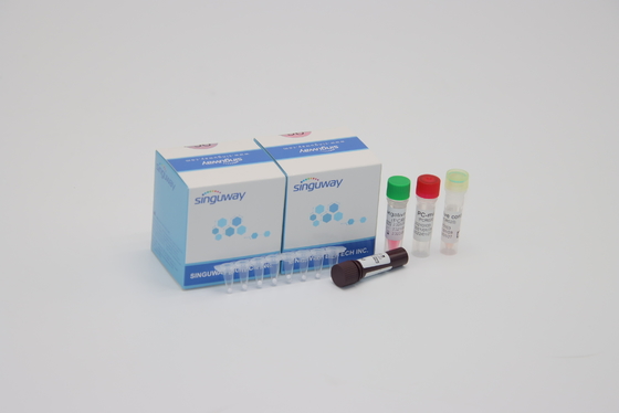Bộ dụng cụ chẩn đoán PCR RT PCR hợp bào hô hấp Bộ phát hiện RSV PCR Bộ ngoáy mũi