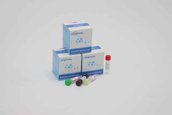 CE Coronavirus Kiểm tra Bộ dụng cụ chẩn đoán PCR thời gian thực Siêu nhanh trong vòng 30 phút