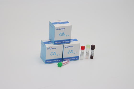 Bộ phát hiện PCR độ nhạy cao Đột biến Alpha Beta Delta Gamma cho phòng thí nghiệm sử dụng