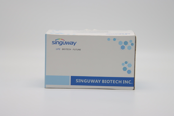 Bộ dụng cụ thanh lọc RNA siêu vi nhạy cảm Hạt từ tính Bộ axit nucleic siêu tinh khiết cao