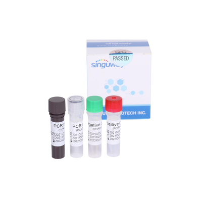 Virus viêm gan B DNA HBV Real Time PCR Kit Chẩn đoán định lượng 30 IU / ML Độ nhạy