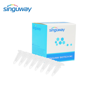 15 loại HPV Bộ PCR thời gian thực Bộ dụng cụ PCR định tính 40uL HPV cho người