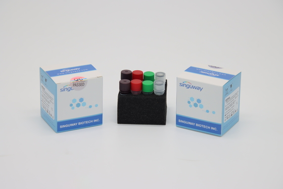 Bộ sưu tập Bộ xét nghiệm PCR H1N1 Virus bệnh dại RT PCR IVD Siêu nhạy cho bệnh viện