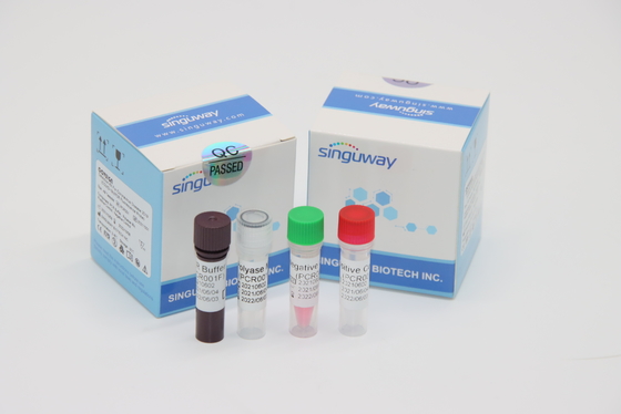 Mycobacterium Tuber tuberculosis Virus RT PCR Chẩn đoán Bộ dụng cụ ngoáy mũi trong vòng 30 phút