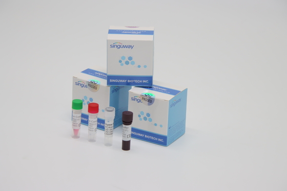 Phòng thí nghiệm Thuốc thử RT PCR Test Kit Độ ổn định cao để phát hiện vi rút Varicella Zoster VZV