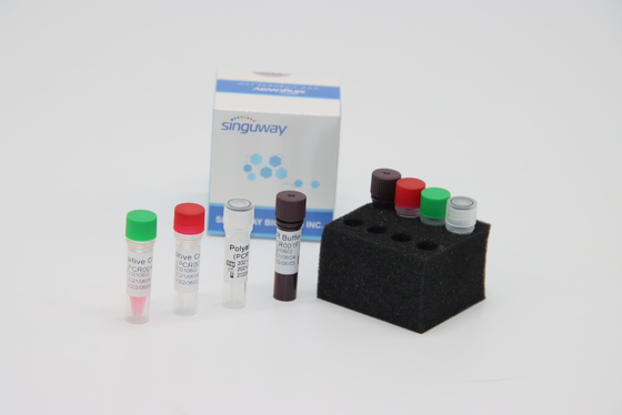 Oral Swab Bộ thu thập RT PCR có độ chính xác cao Thuốc thử phòng thí nghiệm IVD để kiểm tra vi rút ADV
