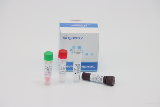 Chẩn đoán phân tử định lượng Bộ xét nghiệm RT PCR Thời gian thực đối với vi rút HPV Tox