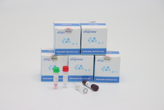 Phòng thí nghiệm Bộ xét nghiệm PCR RT PCR siêu nhanh Thalassemia Sử dụng Bộ PCR lao