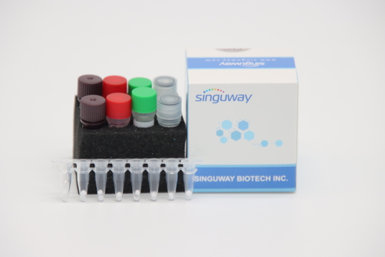 Bộ công cụ PCR RT nhanh định lượng IVD cho vi rút cúm gia cầm A vi rút H7N9