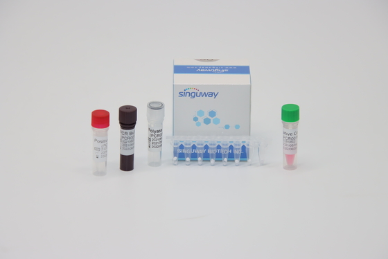 Kiểm tra vi rút HPV 16 18 Bộ xét nghiệm RT PCR Bộ xét nghiệm PCR ISO13485