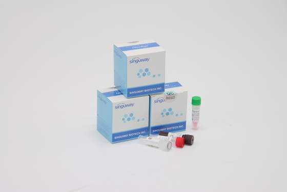 Virus RSV nhanh chóng Bộ xét nghiệm PCR RT tức thì POCT IVD Chẩn đoán lâm sàng Độ chính xác cao