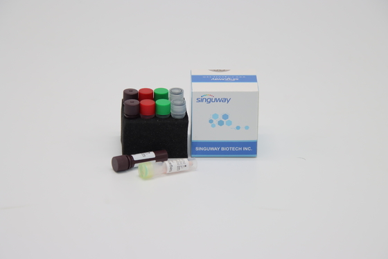 Bộ công cụ PCR thời gian thực CE Một bước Bộ xét nghiệm nhanh HSV cho vi rút viêm gan B