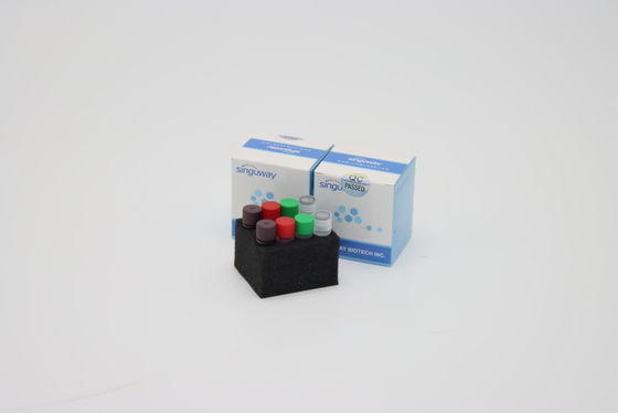 Độ nhạy cao 6 kênh Bộ Pcr thời gian thực đa kênh để kiểm tra đột biến 19 kênh Covid