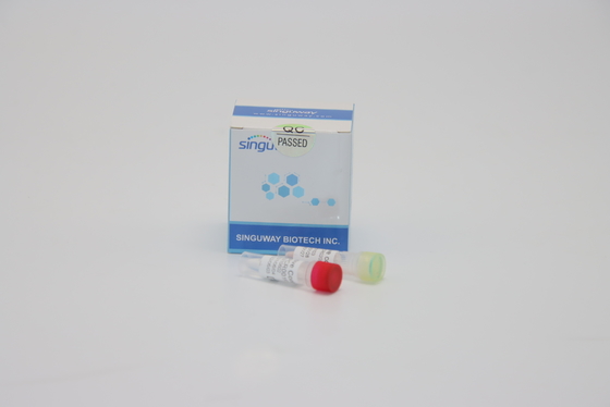 Thử nghiệm axit nucleic Bộ xét nghiệm PCR Dengue RT Bộ dụng cụ PCR PCR tăm tia huỳnh quang