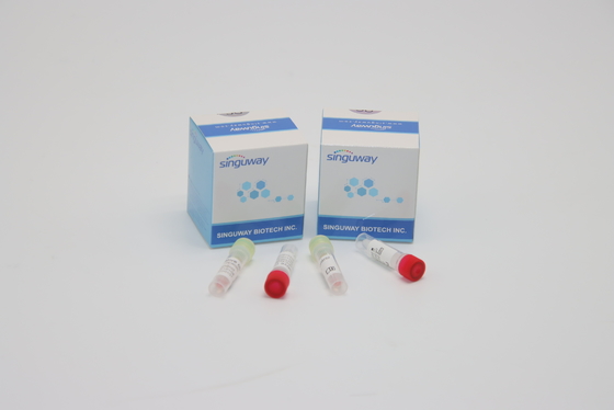 CE PCR Bộ xét nghiệm tăm bông Bộ xét nghiệm Viêm gan B và C Chẩn đoán lâm sàng