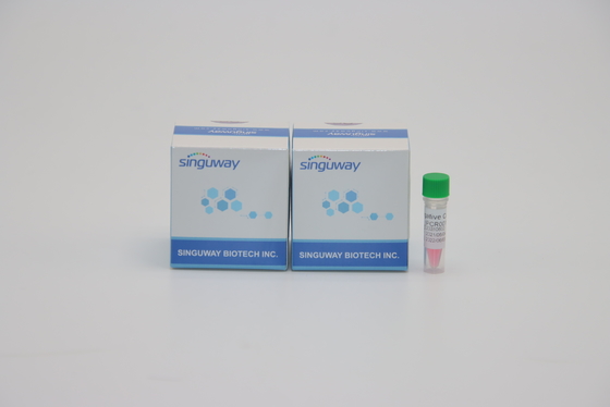 Thuốc thử phòng thí nghiệm Kit PCR một bước có độ chính xác cao cho Helicobacter Pylori HP