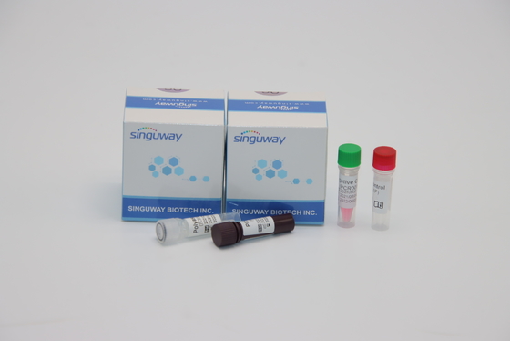 Bộ phát hiện PCR đầu dò huỳnh quang Mẫu ngoáy mũi để kiểm tra Adenovirus ADV