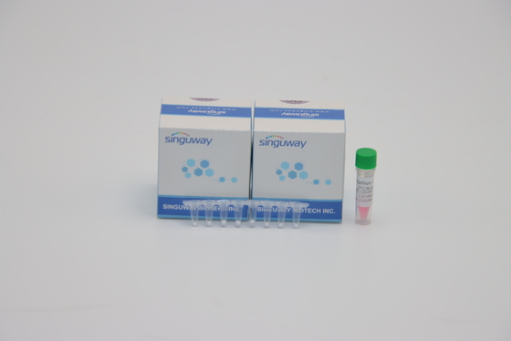 Phòng thí nghiệm POCT IVD Mycobacterium Tuber tuberculosis Bộ phát hiện TB PCR Thử nghiệm DNA ISO9001
