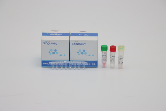 Cúm A Cúm B Bộ dụng cụ PCR một bước thời gian thực có độ nhạy cao 96 xét nghiệm Bộ xét nghiệm PCR HIV