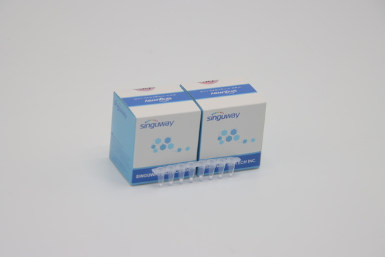 Độ ổn định cao Bộ PCR thời gian thực HCV Bộ xét nghiệm nhanh HBV Viêm gan B Bộ xét nghiệm phòng thí nghiệm ISO13485