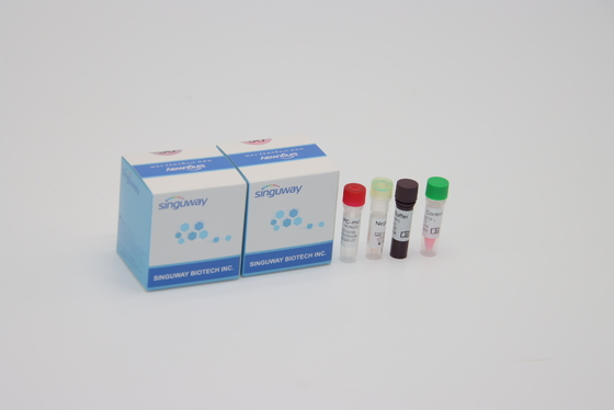 Alpha Beta Delta Gamma đột biến một bước Bộ công cụ QPCR Oral Swab cho phòng thí nghiệm sử dụng