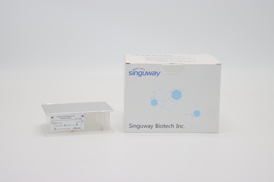 Thủ công 9-18 phút Bộ tách chiết axit nucleic để làm sạch virus DNA RNA