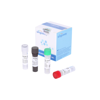 Thời gian thực nhanh Bộ kiểm tra PCR nhanh chóng Covid 19 Phát hiện trong vòng 30 phút