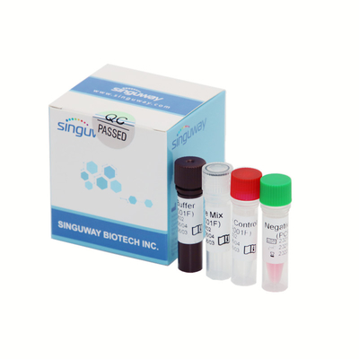 Bộ phát hiện PCR thời gian thực Covid-19 Độ chính xác cao Đầu dò huỳnh quang 50 bản sao / Ml