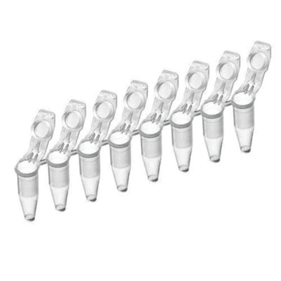 Phụ kiện PCR phòng thí nghiệm Dải ống PCR 8 giếng dùng một lần