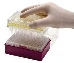 Mẹo dành cho pipet PCR tiêu dùng trong phòng thí nghiệm Mẹo dành cho micrô dùng một lần 10-1250μL