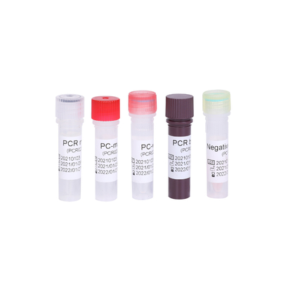 Bộ xét nghiệm PCR huỳnh quang RT để phát hiện vi rút cúm A 2019-NCoV Vi rút cúm B